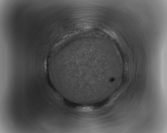 X0000088180553200705291954