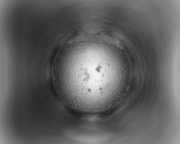 X0000088180554200705291954