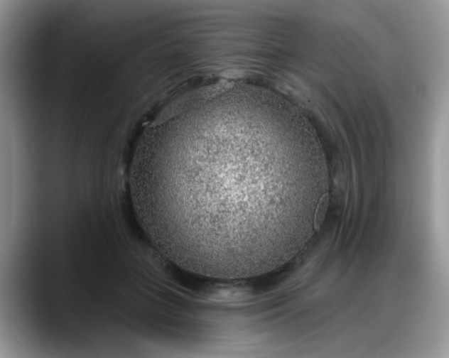 X0000088180555200705291954