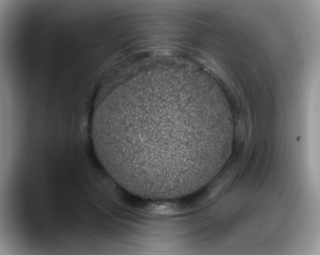 X0000088180557200705291954