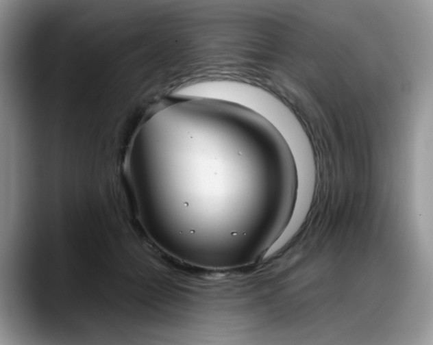 X0000088180558200705291954