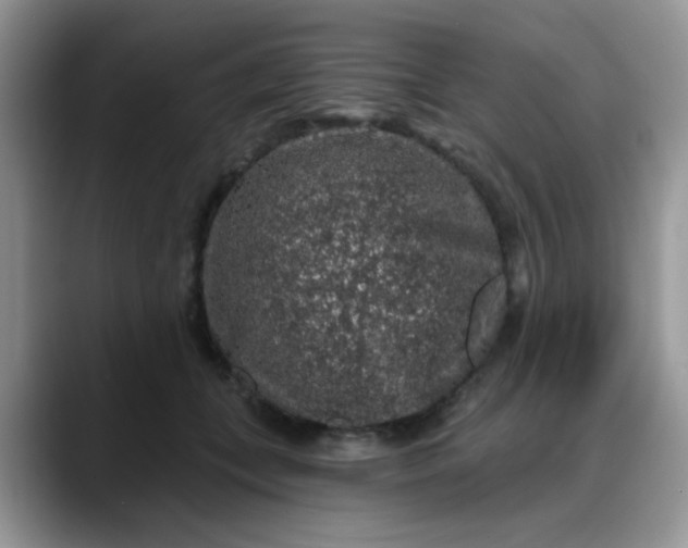 X0000088180559200705291954