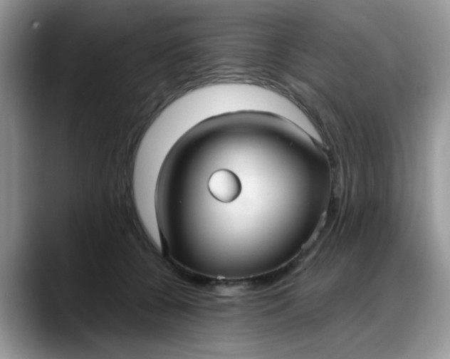 X0000088180560200705291954