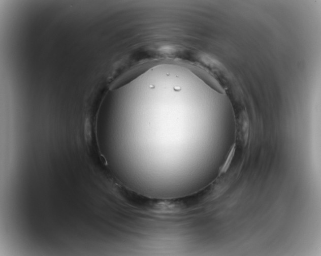 X0000088180562200705291954