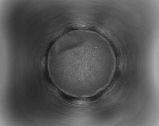 X0000088180563200705291954