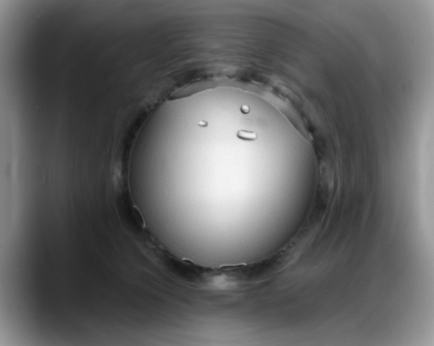 X0000088180564200705291954