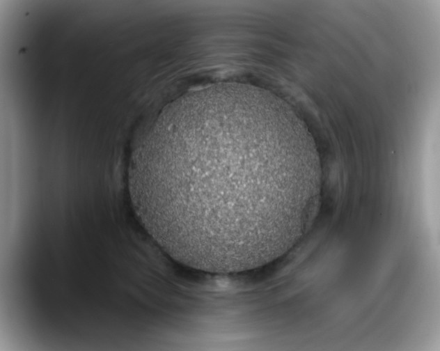 X0000088180565200705291954