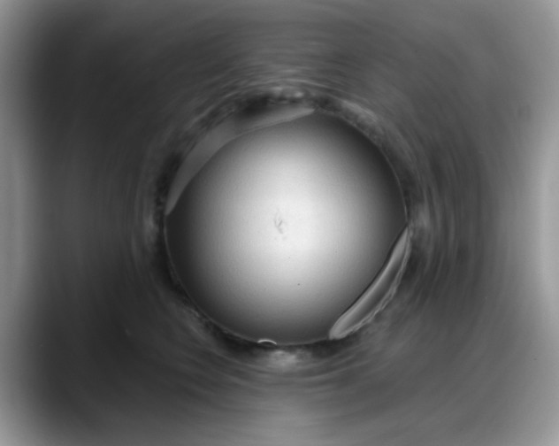 X0000088180566200705291954