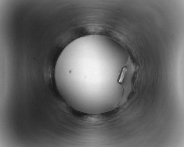 X0000088180567200705291954