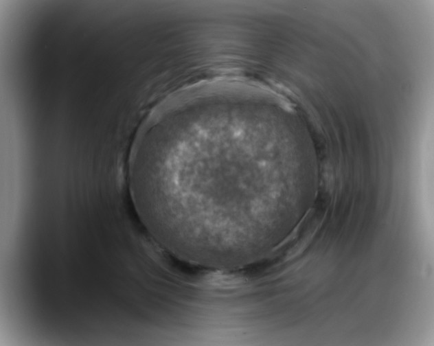 X0000088180568200705291954