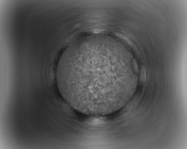 X0000088180569200705291954