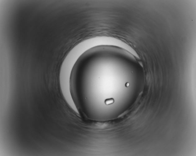 X0000088180570200705291954