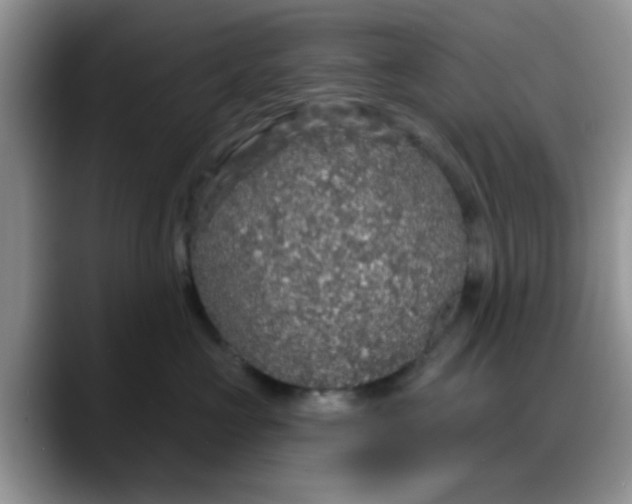 X0000088180573200705291954