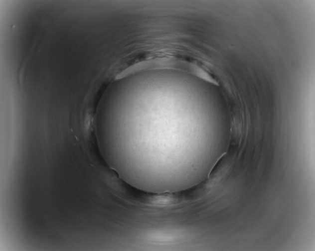 X0000088180574200705291954