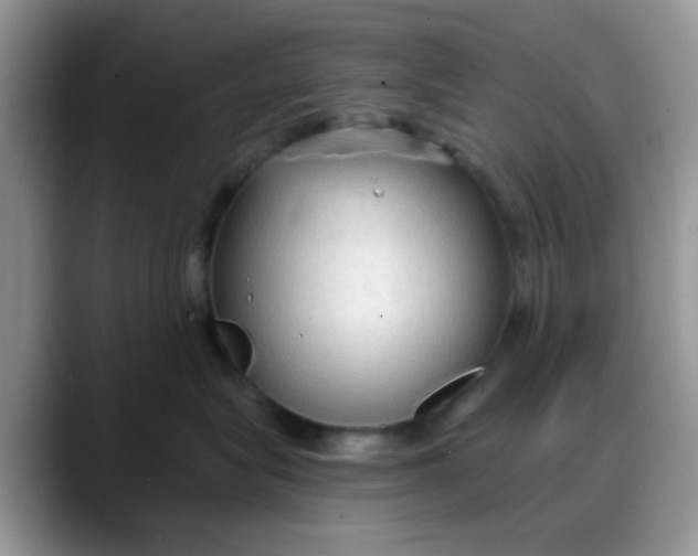 X0000088180575200705291954