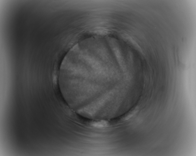 X0000088180576200705291954