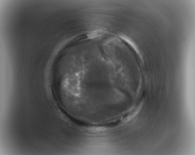 X0000088180577200705291954