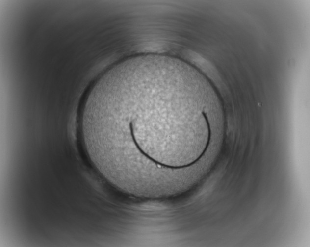 X0000088180578200705291954