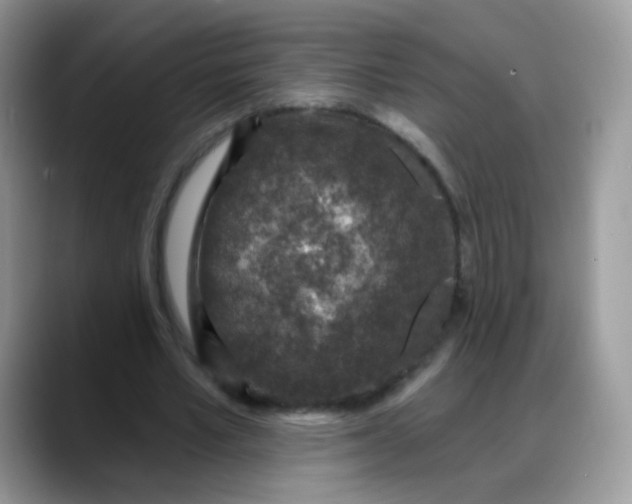 X0000088180581200705291954