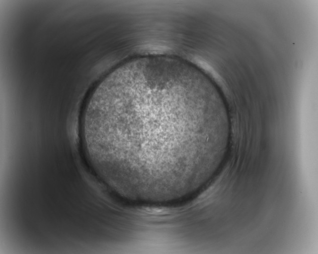 X0000088180582200705291954