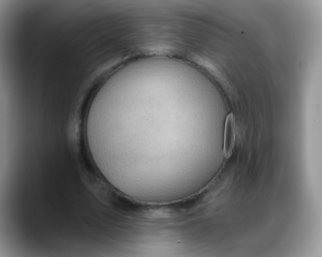 X0000088180583200705291954