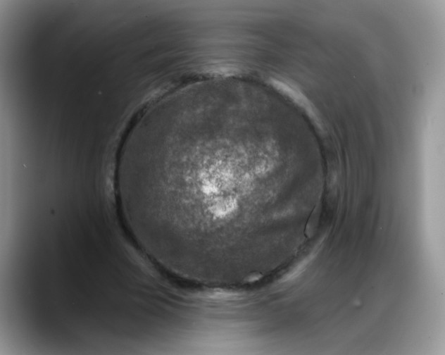 X0000088180585200705291954