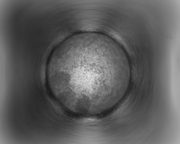 X0000088180586200705291954