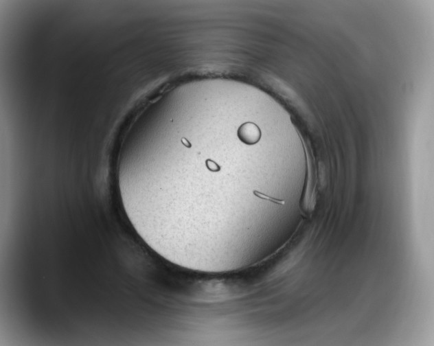 X0000088180588200705291954