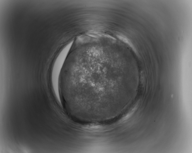 X0000088180589200705291954