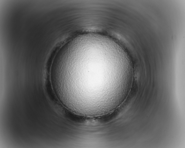 X0000088180591200705291953