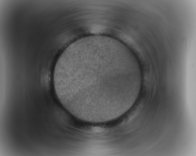 X0000088180592200705291953