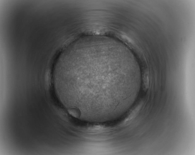 X0000088180594200705291953