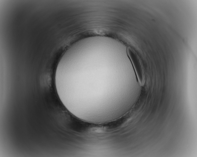 X0000088180595200705291953