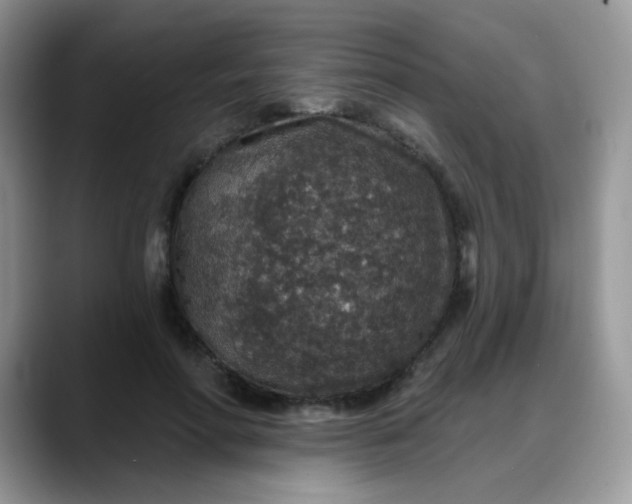 X0000088180598200705291953