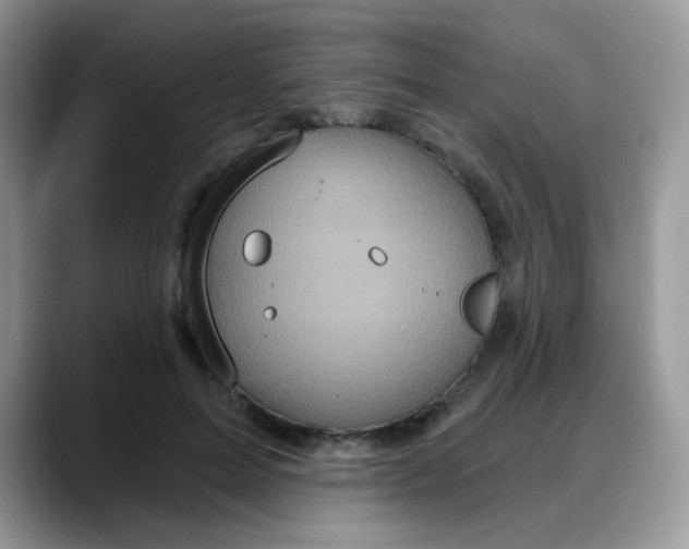 X0000088180599200705291953