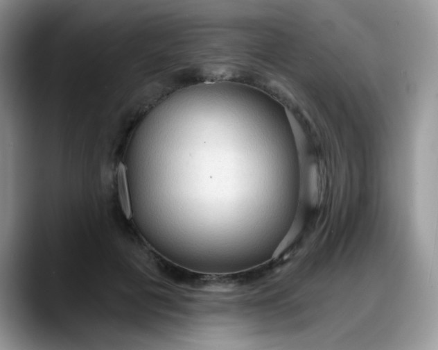 X0000088180601200705291953