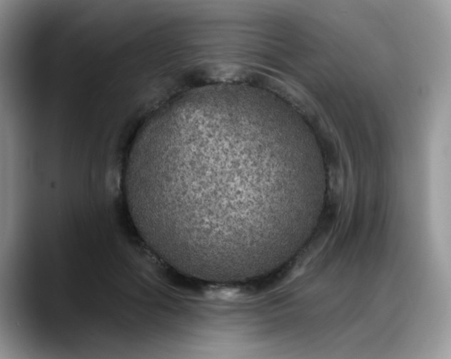 X0000088180602200705291953