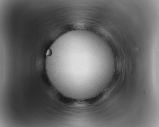 X0000088180603200705291953