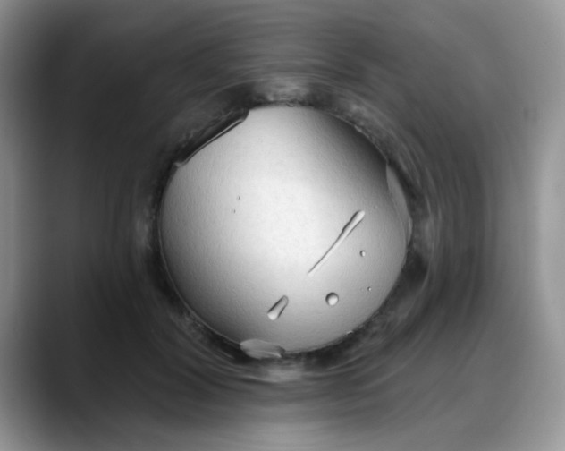 X0000088180604200705291953