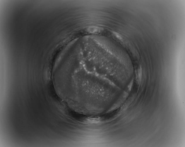 X0000088180606200705291953