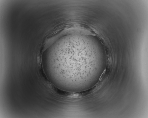 X0000088180609200705291953