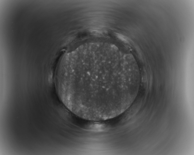 X0000088180610200705291953