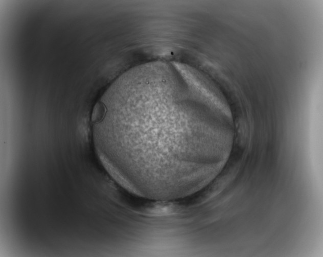 X0000088180612200705291953