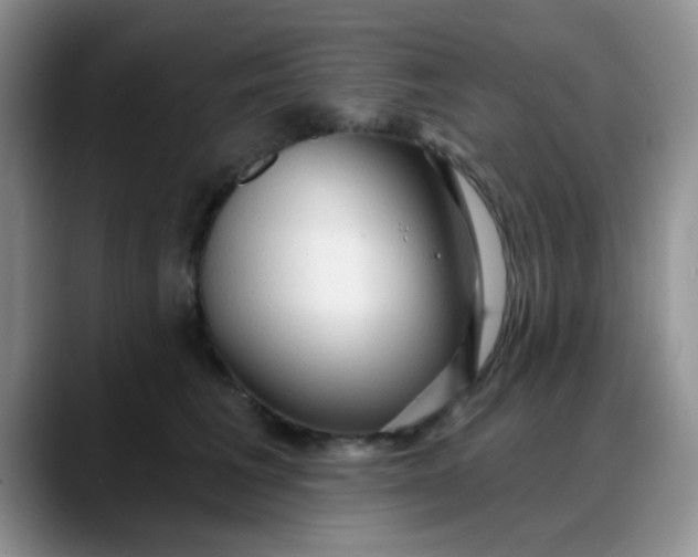 X0000088180613200705291953