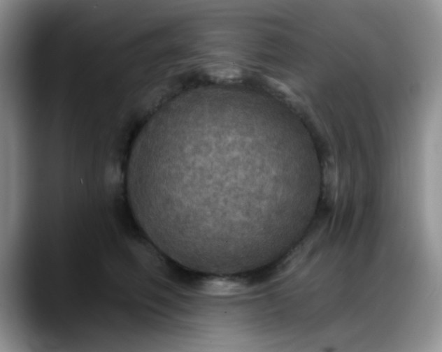 X0000088180614200705291953