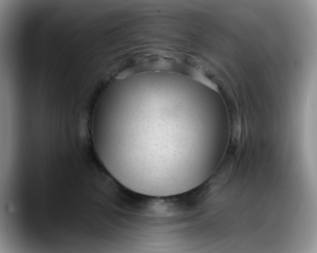 X0000088180616200705291953