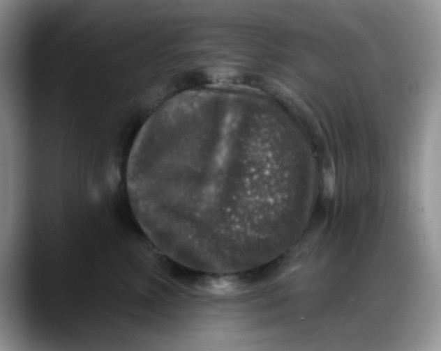 X0000088180618200705291953