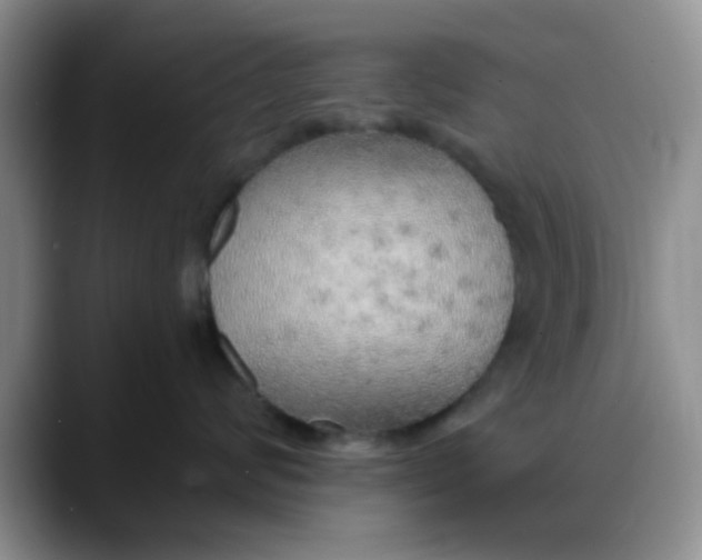 X0000088180624200705291953