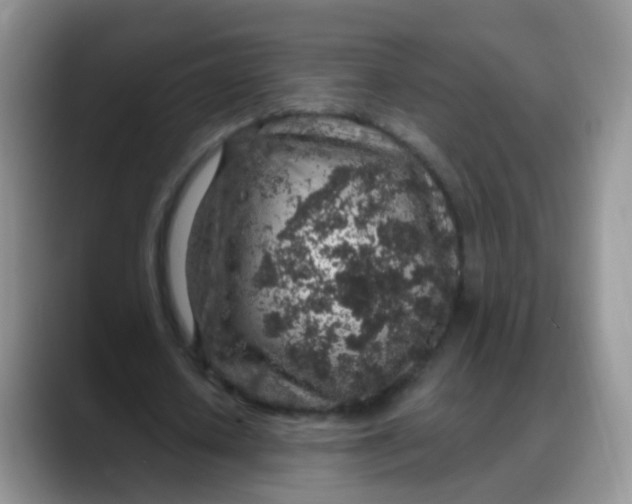 X0000088180626200705291952