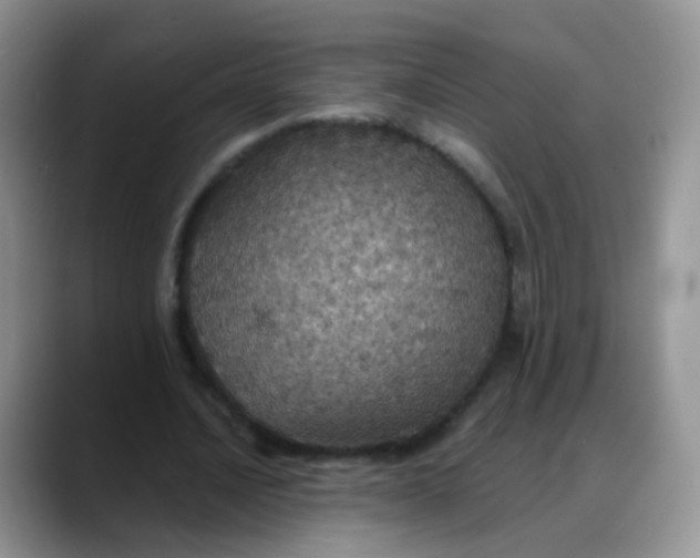 X0000088180628200705291952